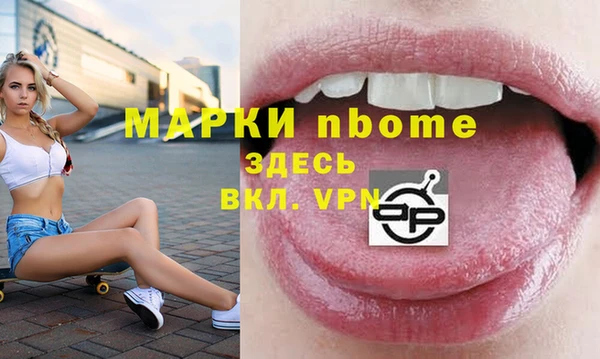 прущие грибы Гусиноозёрск