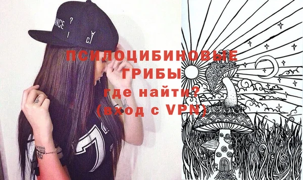 2c-b Вяземский