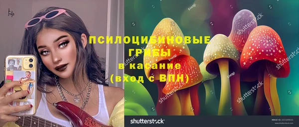 стаф Володарск